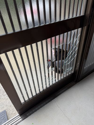 玄関引き戸ガラス修理（富田林市）