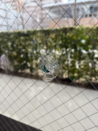 網入り型板菱ワイヤーひび割れ（大阪市城東区）